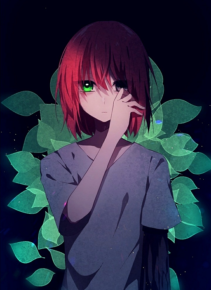 MeiMei2489