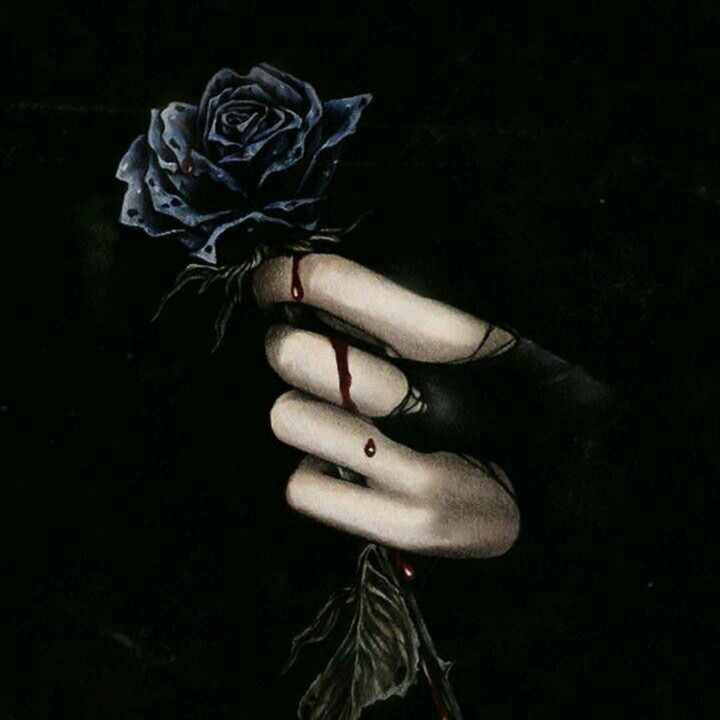 BlackShadowful2721