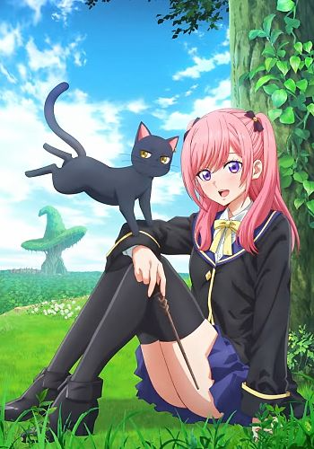 The Classroom of a Black Cat and a Witch